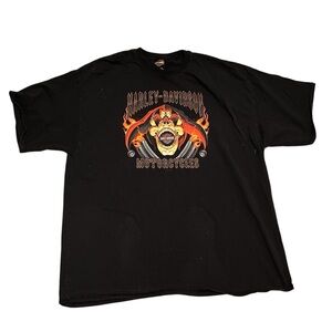 Harley-Davidson Men's Skull Flames Crest El Paso Graphic T-Shirt, Black 3XL